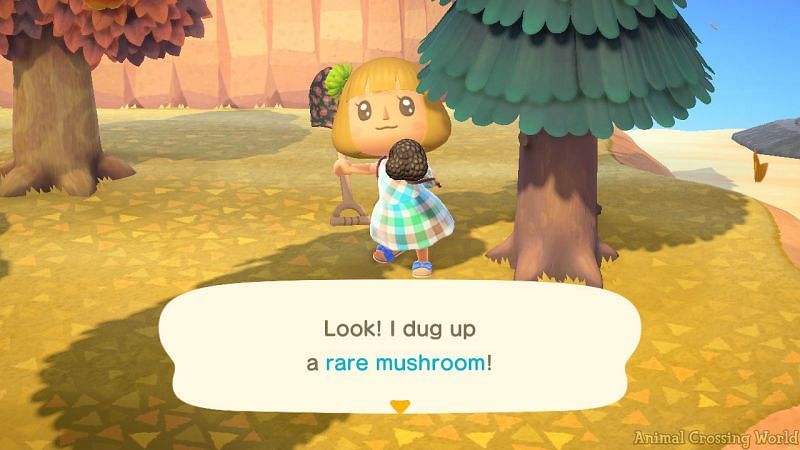 Mushrooms and maple leaves will spawn (Image via Animal Crossing world)